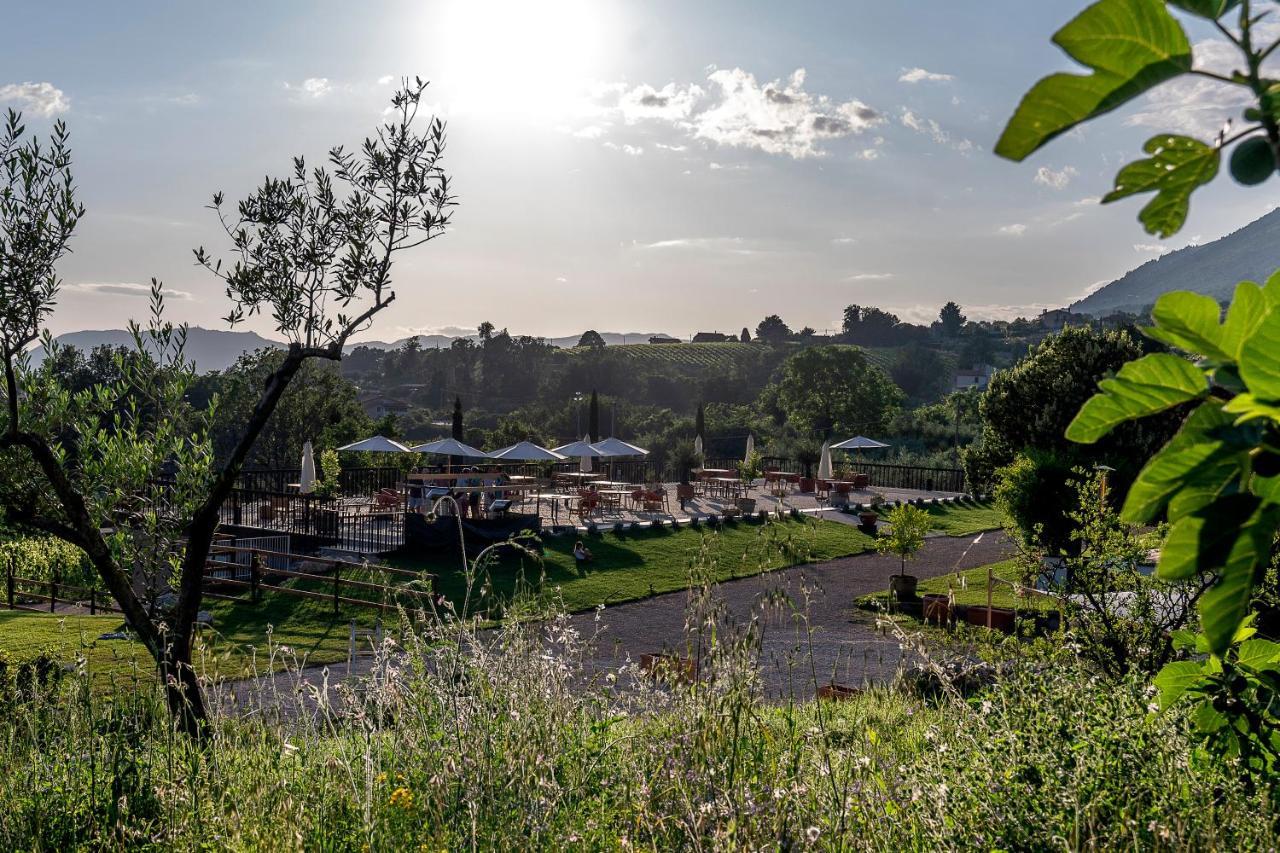 Al Piglio Maison De Charme Wine & Wellness Resort 外观 照片